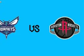 新奥尔良黄蜂和夏洛特黄蜂