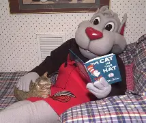 波特兰开拓者赛前回应争议，志在国王杯名次提升，压力陡增，身体对抗强度拉满的简单介绍